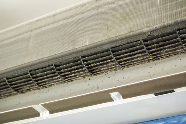Best Air Duct Cleaning Company Near Me  in Oak Park, CA